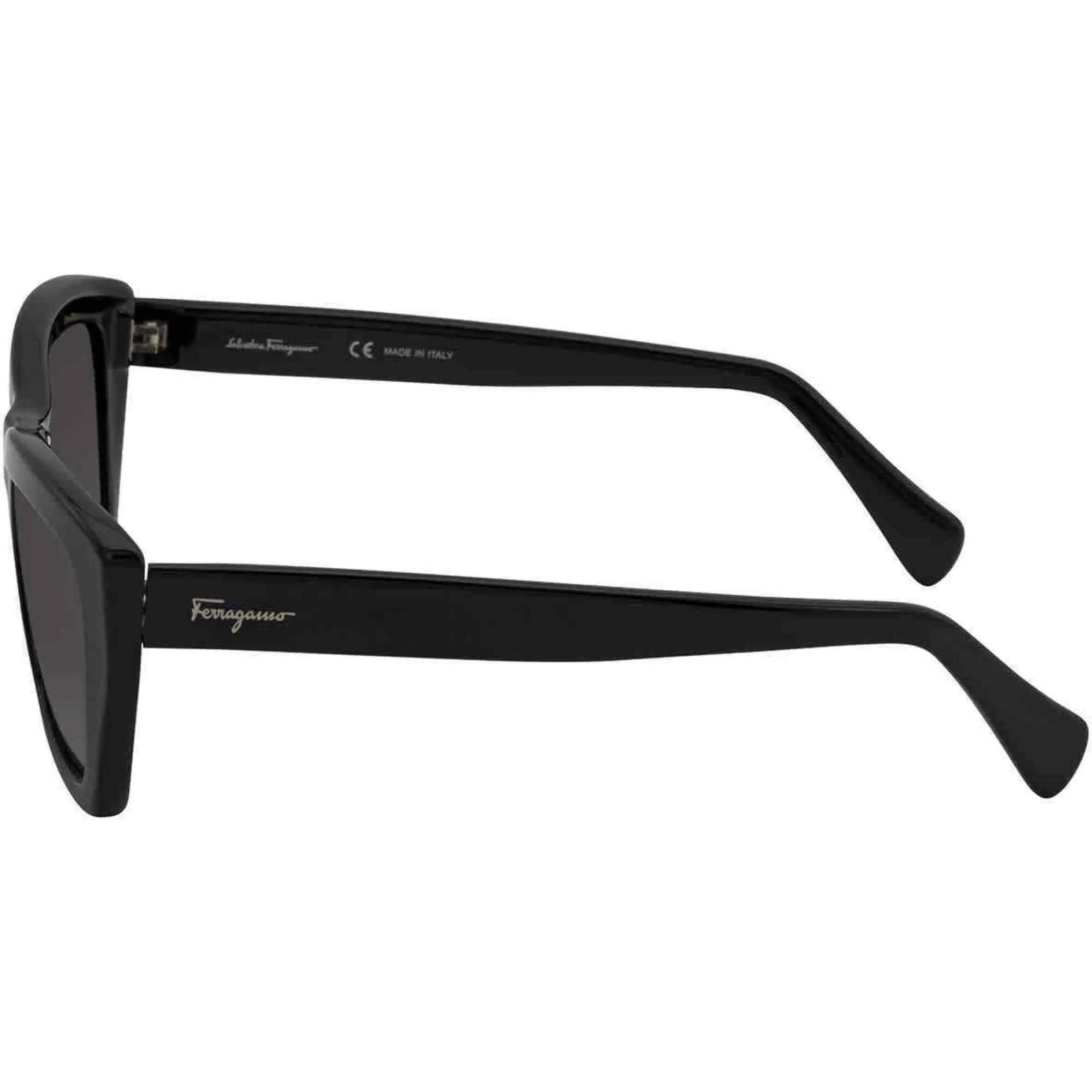 Salvatore Ferragamo Women's Sunglasses - Full Rim Frame | SALVATORE FERRAGAMO958S 1