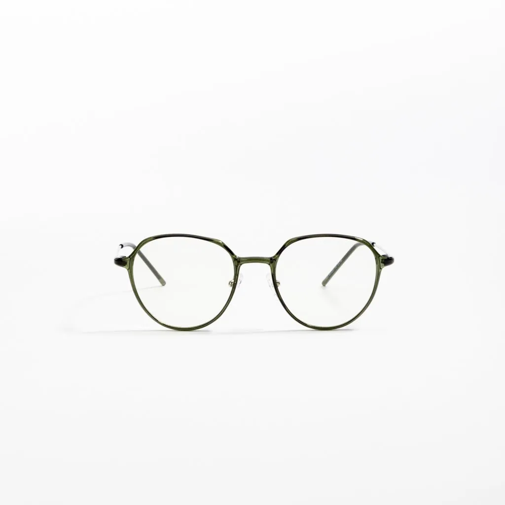 the professor