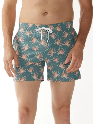 The Solar Flairs 5.5" (Classic Swim Trunk)